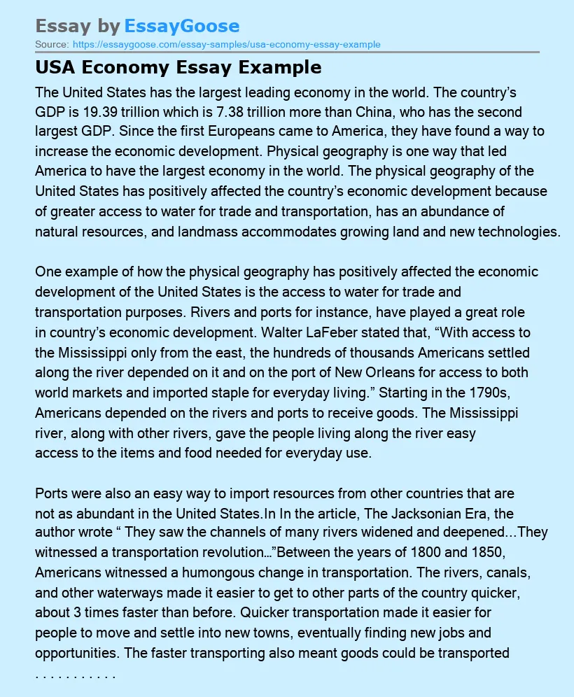 USA Economy Essay Example