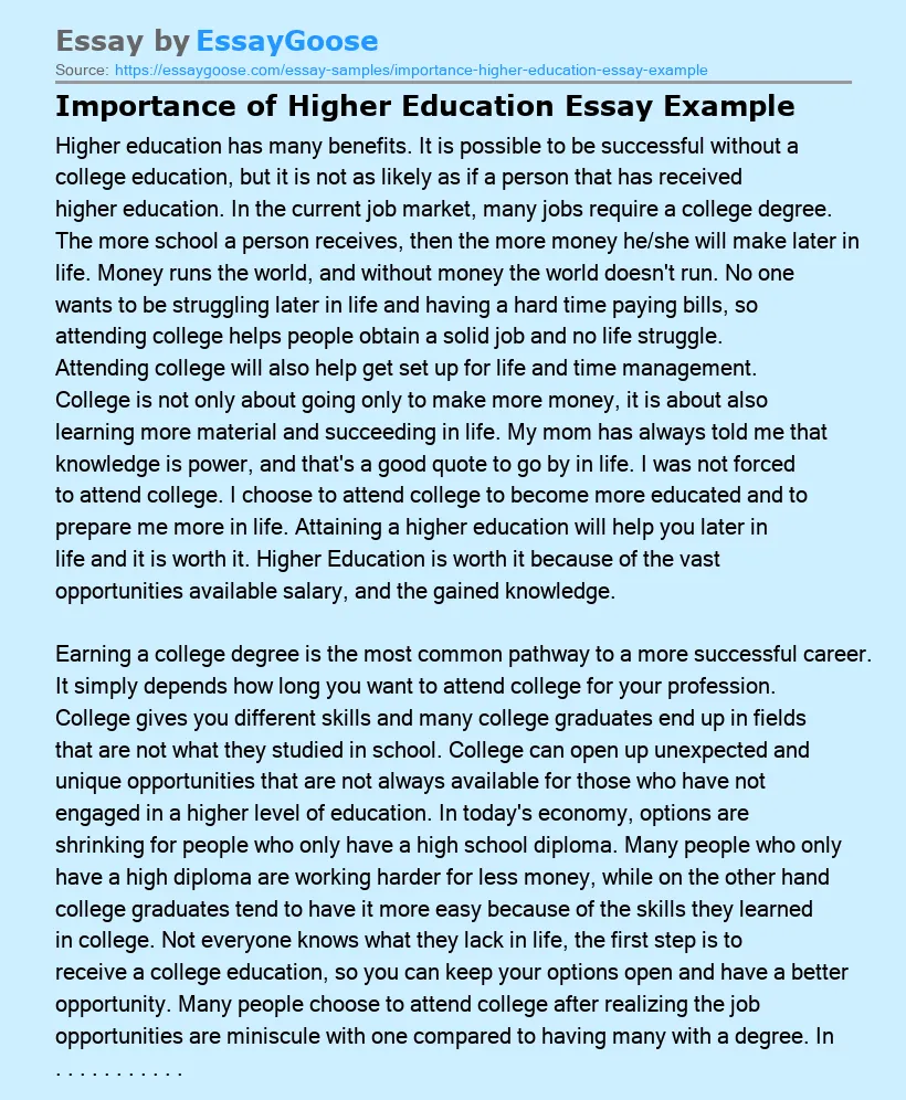 Importance of Higher Education Essay Example