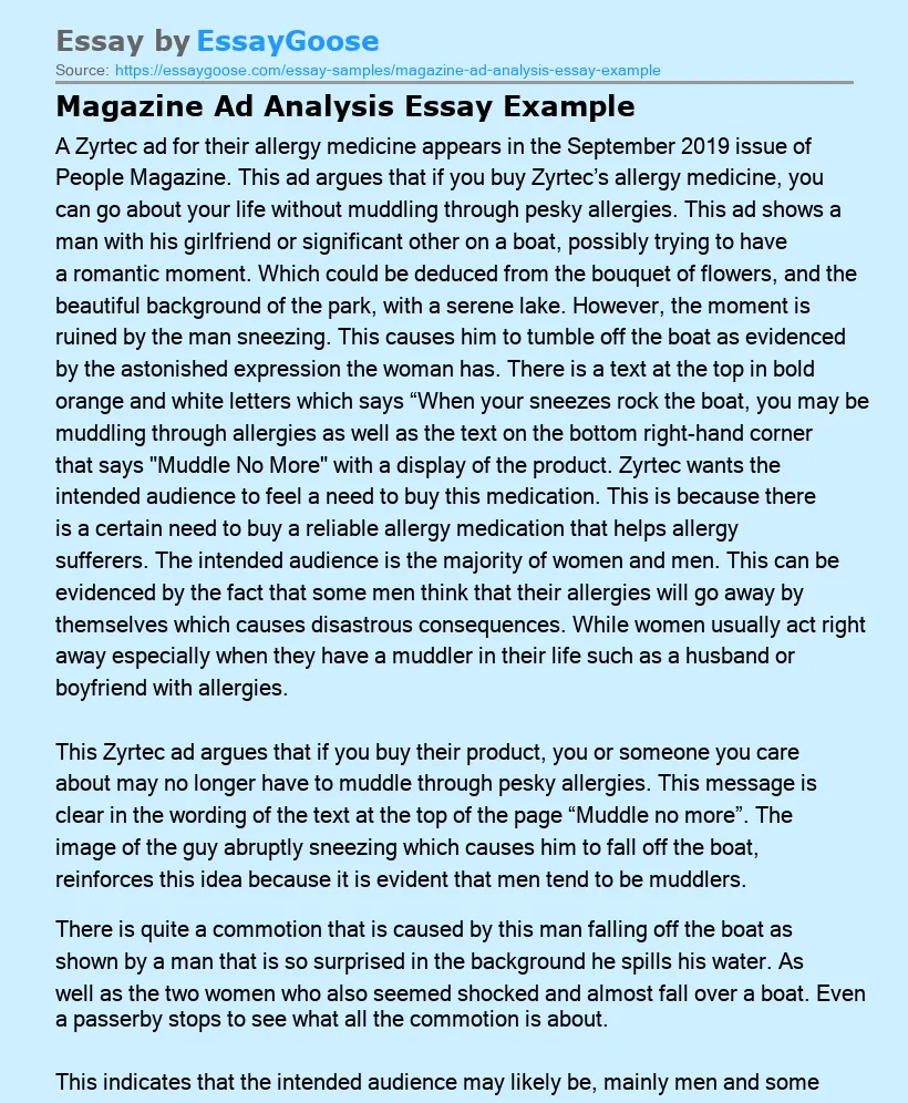 Magazine Ad Analysis Essay Example