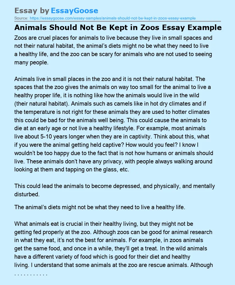 animals in zoo essay