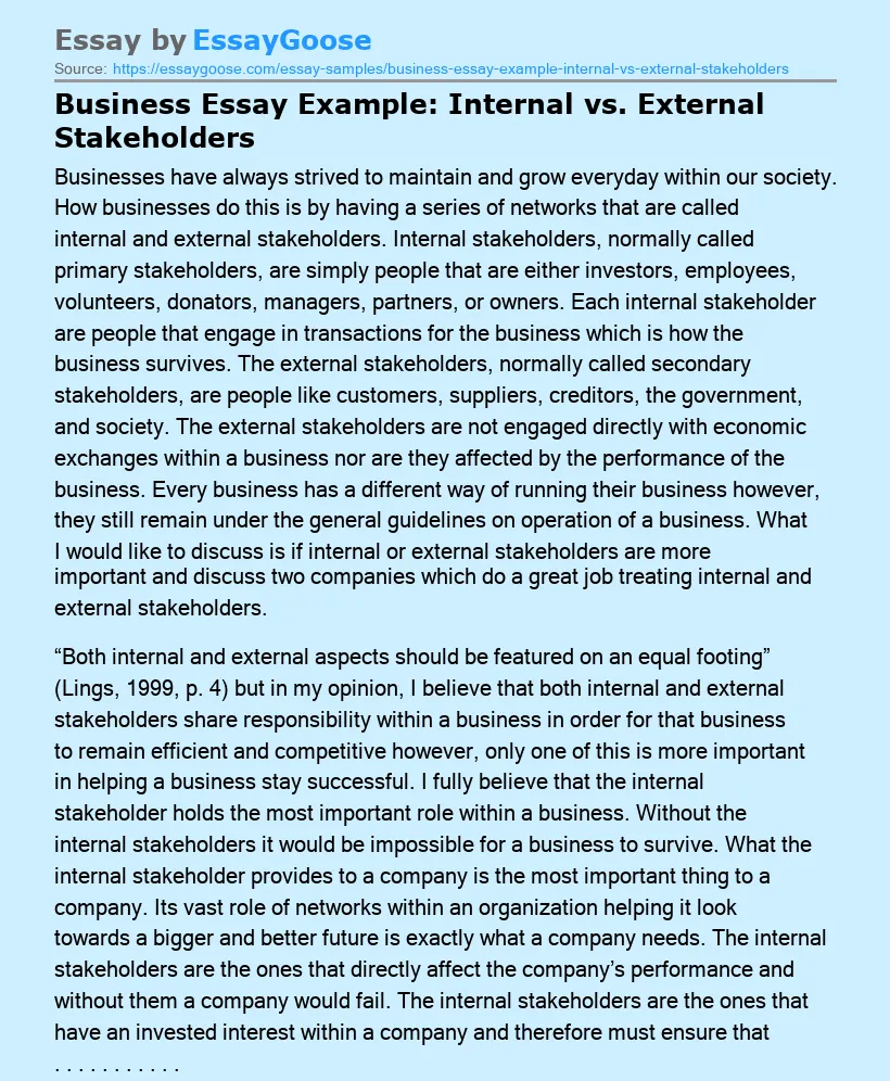 Business Essay Example: Internal vs. External Stakeholders