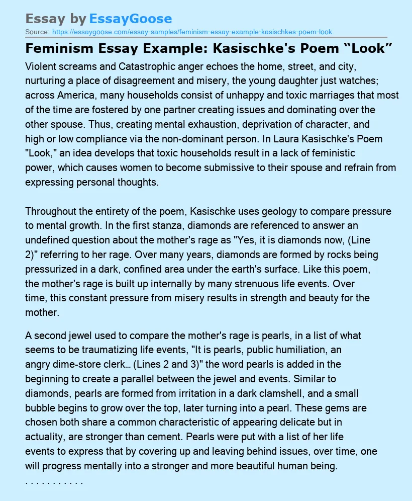 Feminism Essay Example: Kasischke's Poem “Look”