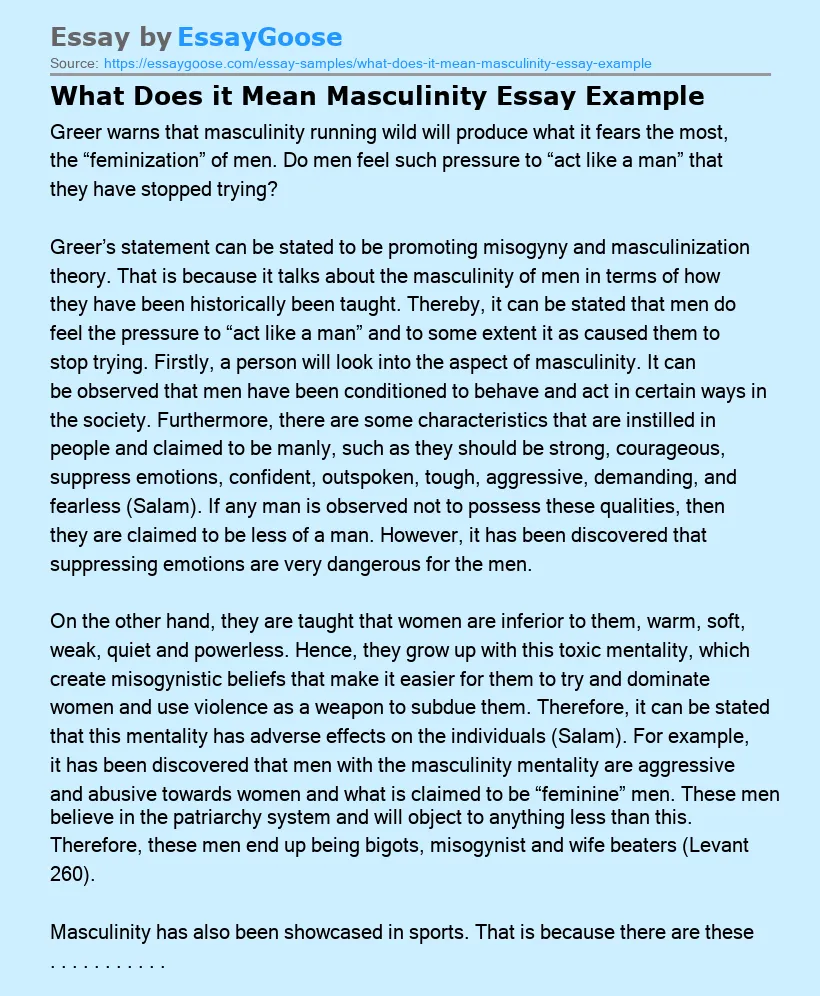 What Does it Mean Masculinity Essay Example