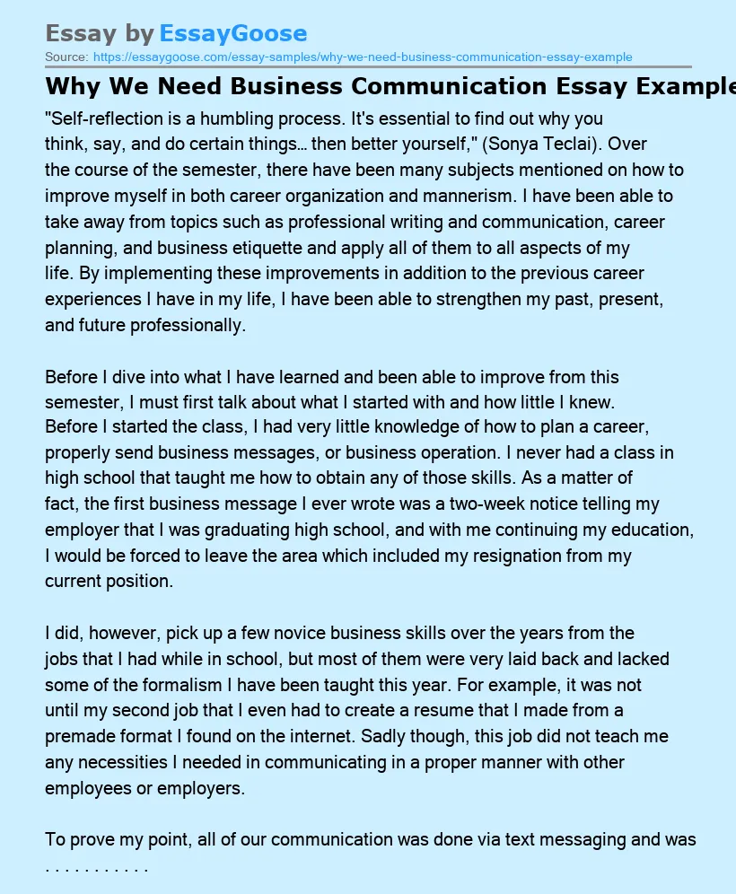 Why We Need Business Communication Essay Example