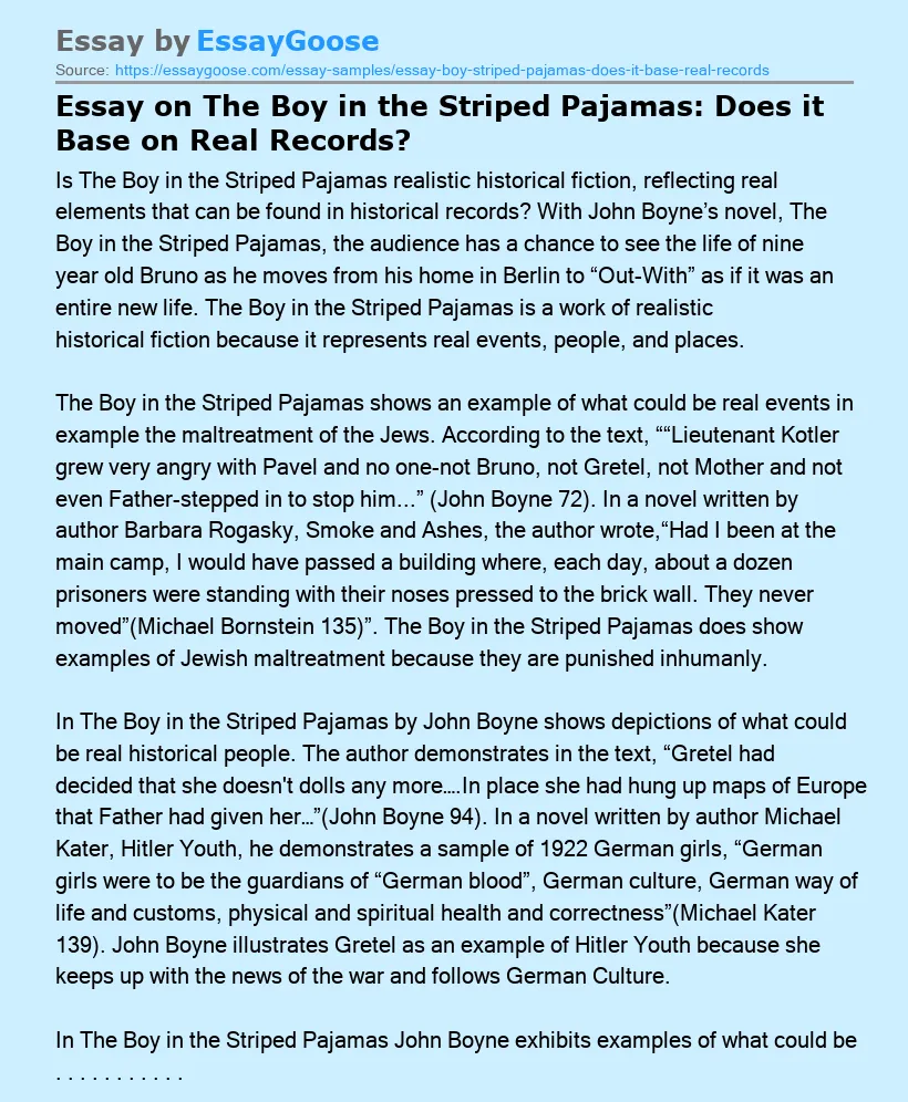 Essay on The Boy in the Striped Pajamas: Does it Base on Real Records?