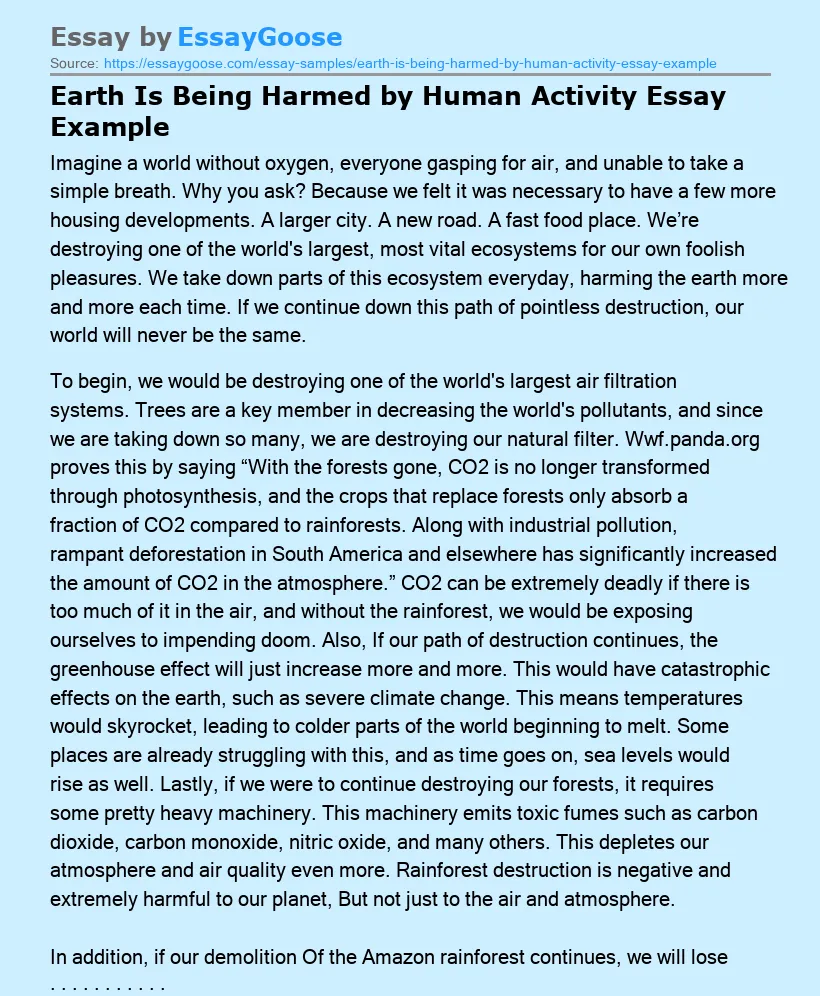 Earth Is Being Harmed by Human Activity Essay Example