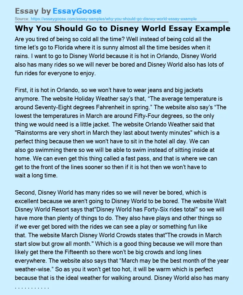 Why You Should Go to Disney World Essay Example