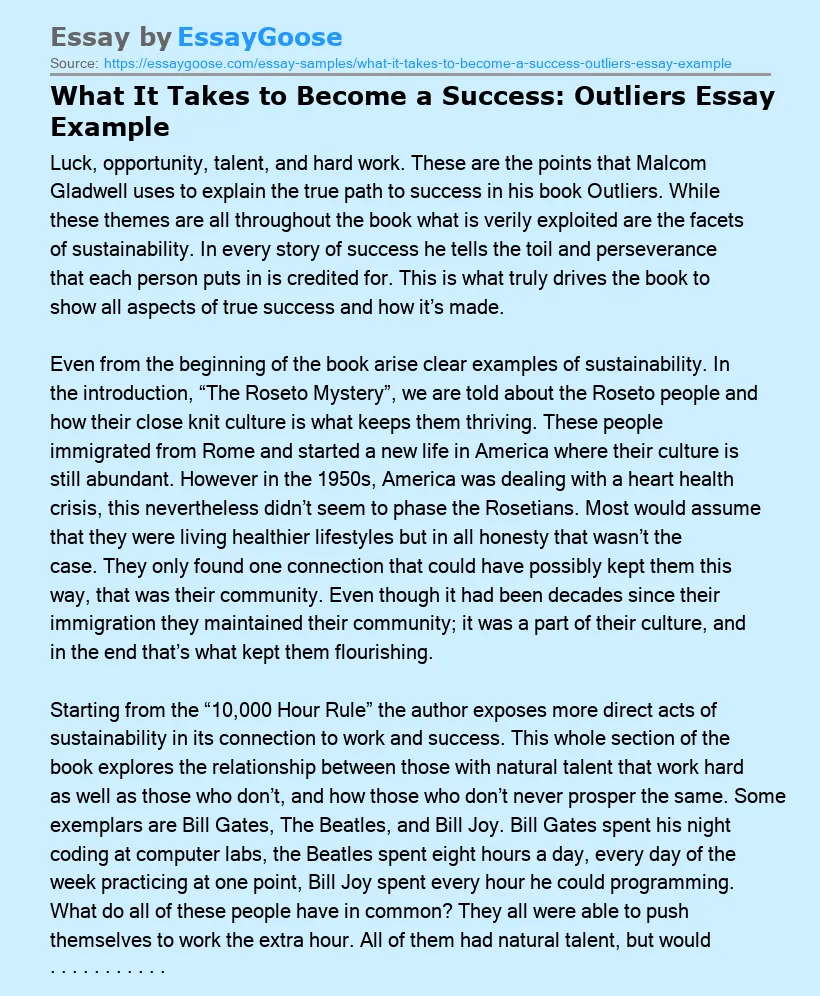 What It Takes to Become a Success: Outliers Essay Example