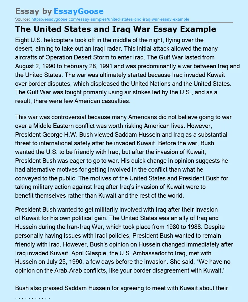 The United States and Iraq War Essay Example