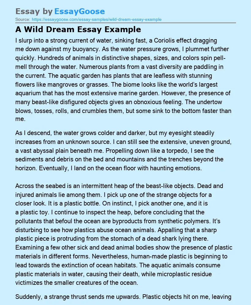 A Wild Dream Essay Example