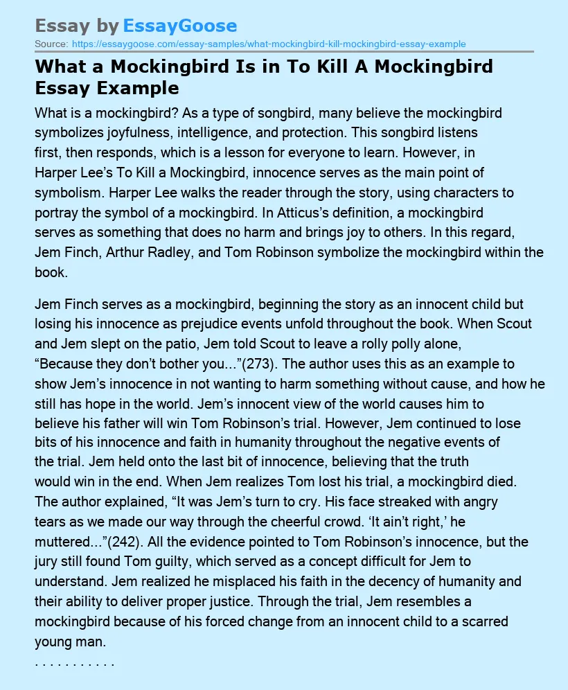 how to kill a mockingbird essay