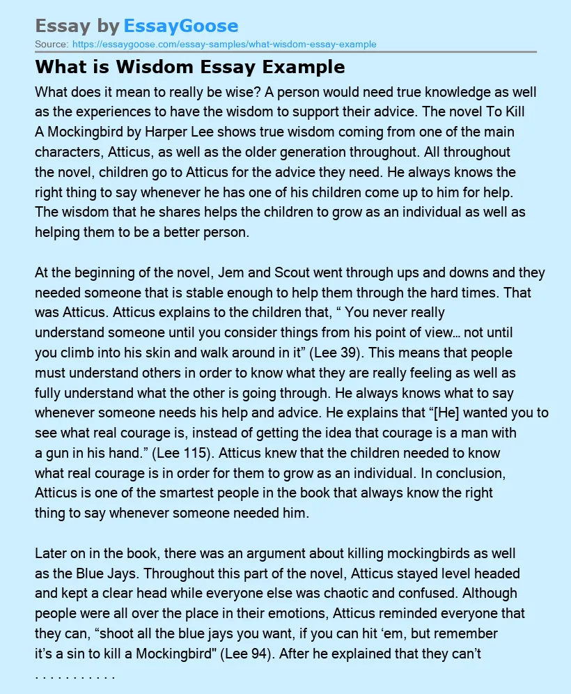 What is Wisdom Essay Example