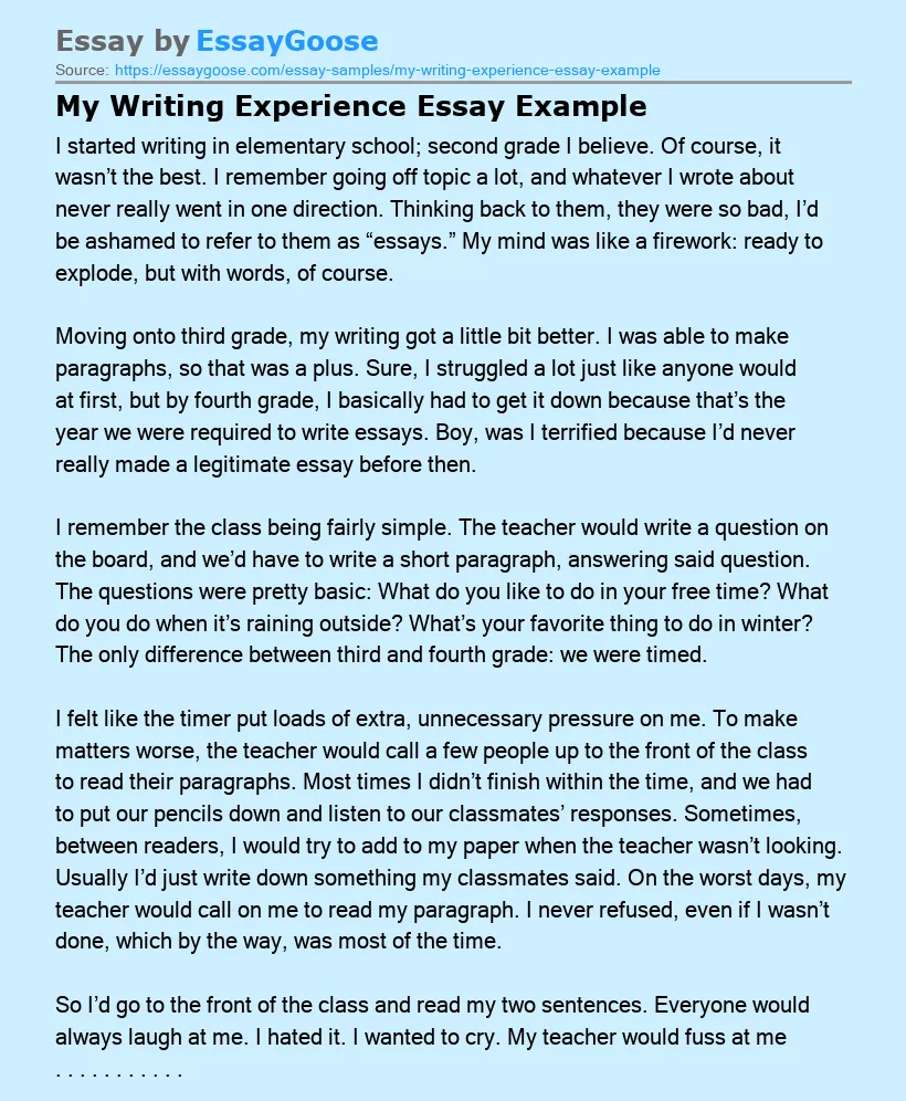 My Writing Experience Essay Example