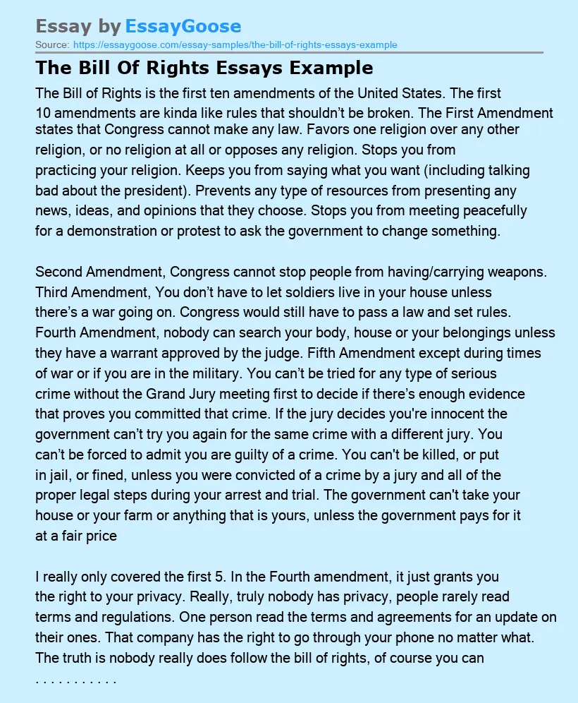 The Bill Of Rights Essays Example