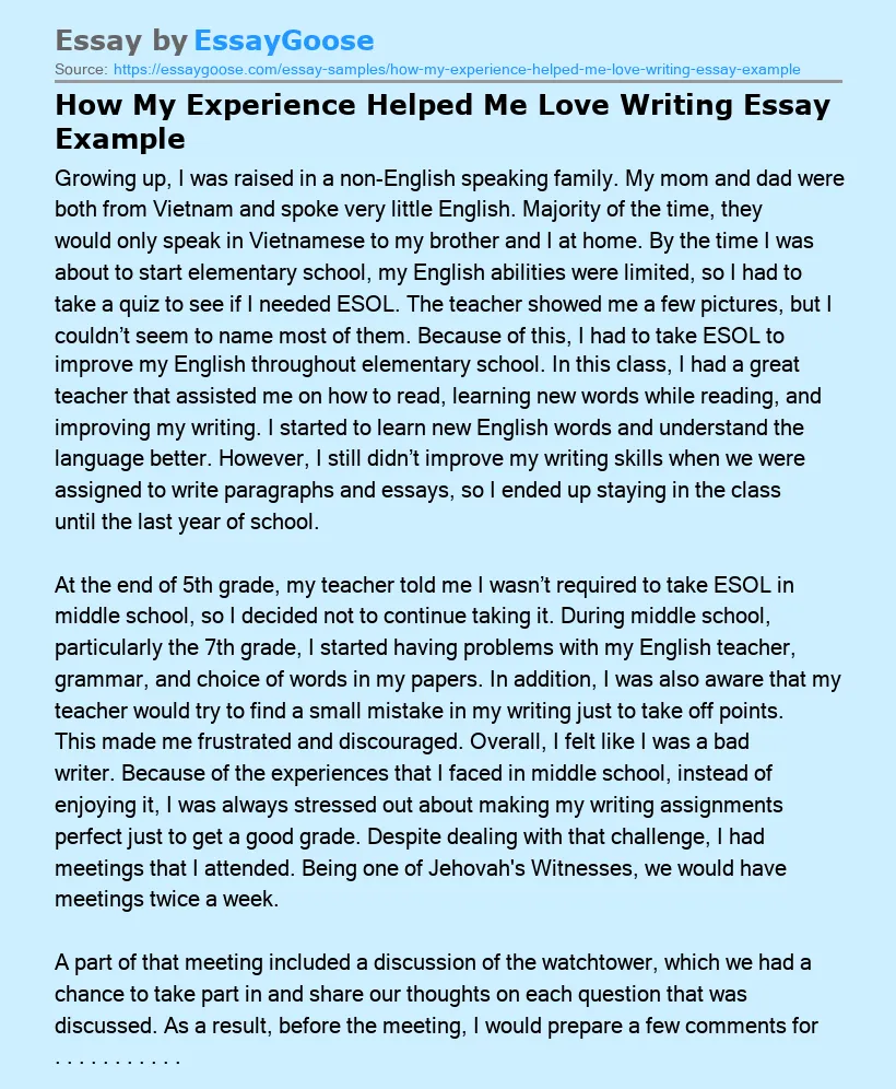 How My Experience Helped Me Love Writing Essay Example