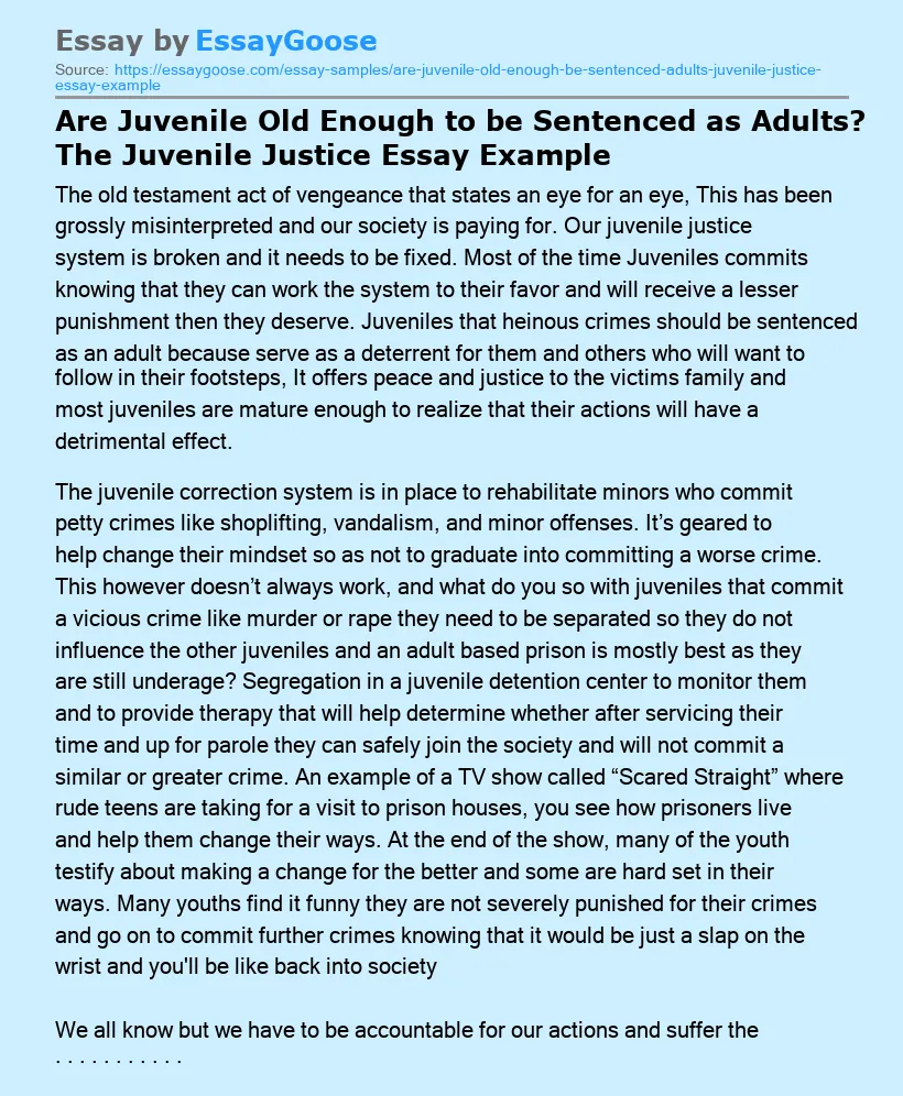 Are Juvenile Old Enough to be Sentenced as Adults? The Juvenile Justice Essay Example