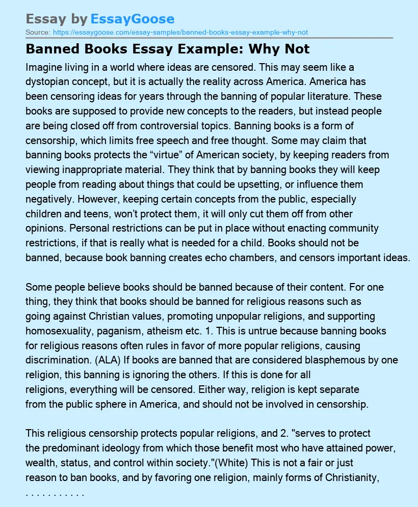 Banned Books Essay Example: Why Not