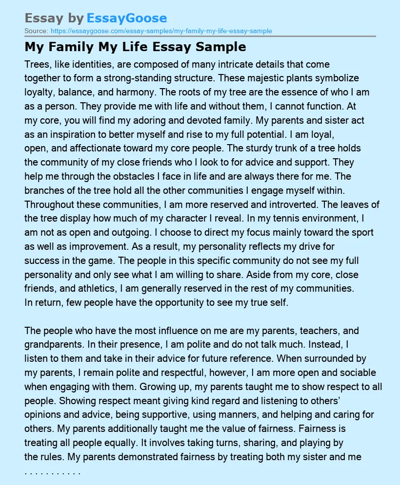 My Family My Life Essay Sample