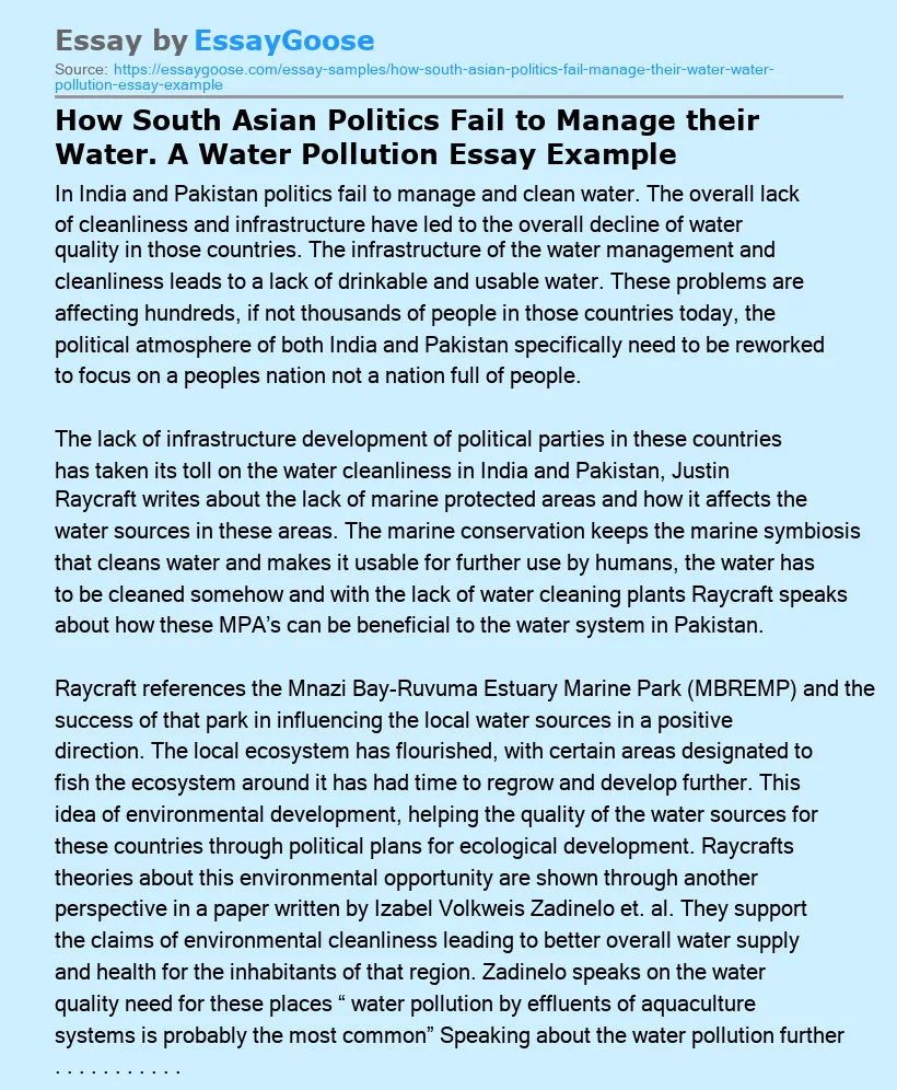 How South Asian Politics Fail to Manage their Water. A Water Pollution Essay Example