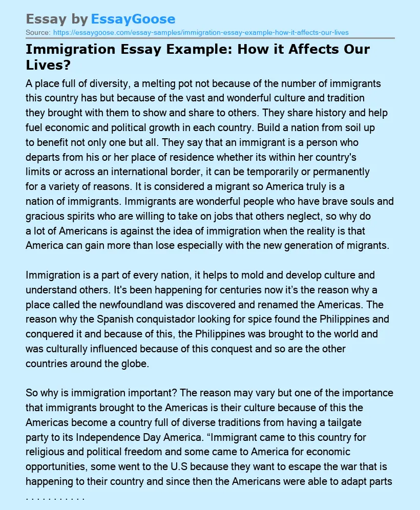 Immigration Essay Example: How it Affects Our Lives?