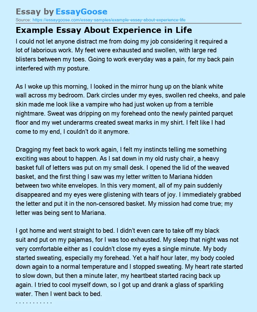 Example Essay About Experience in Life