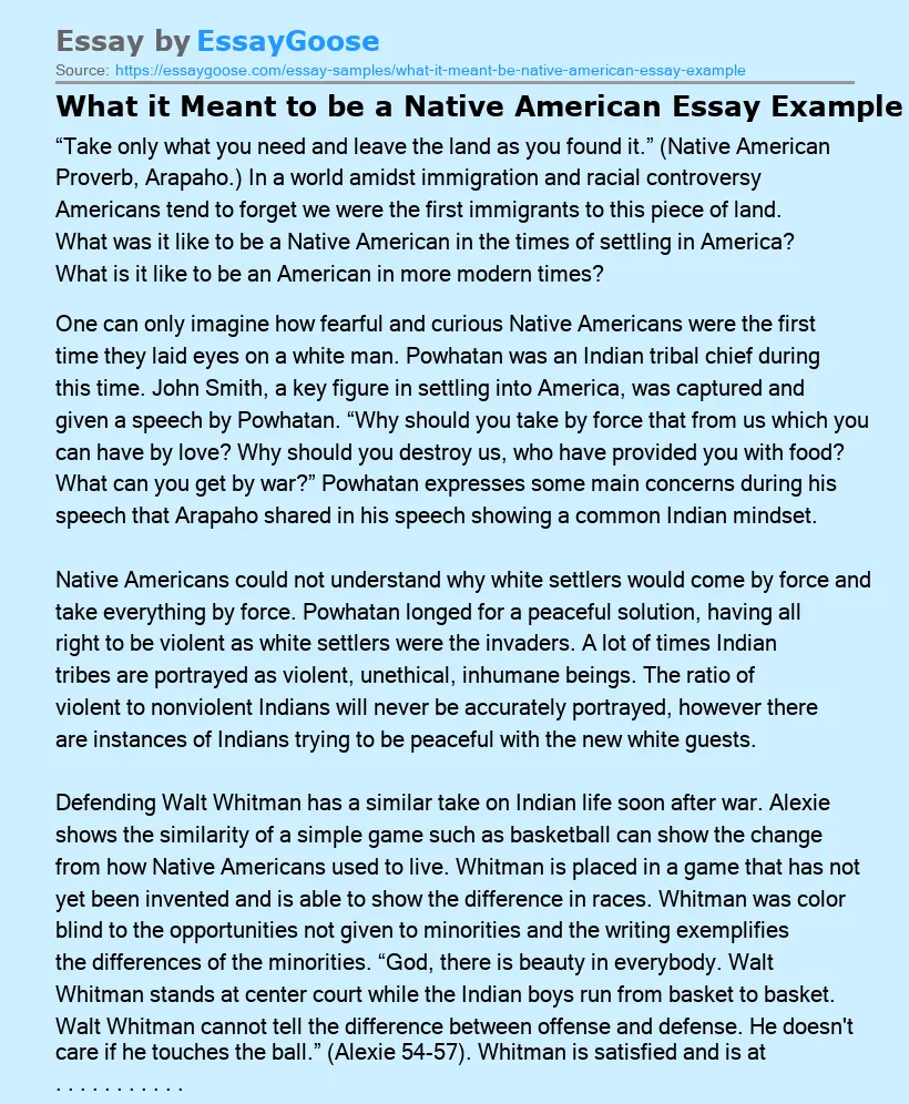 What it Meant to be a Native American Essay Example