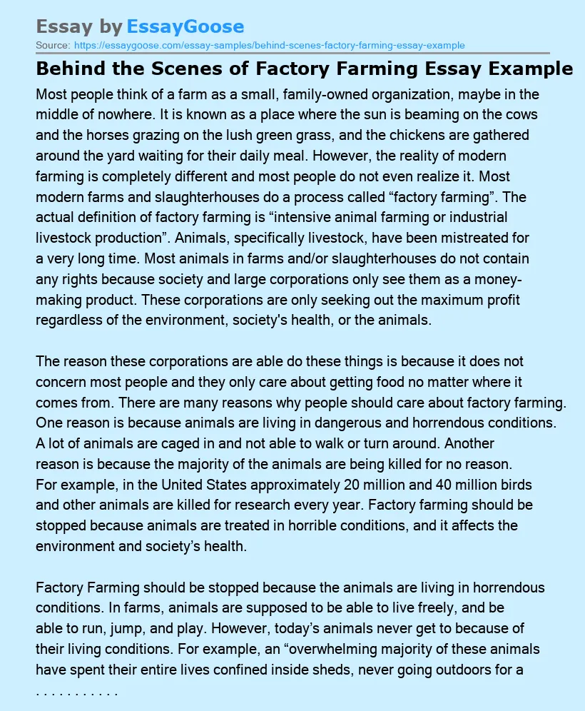 Behind the Scenes of Factory Farming Essay Example