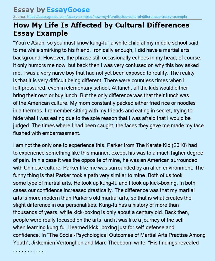 How My Life Is Affected by Cultural Differences Essay Example