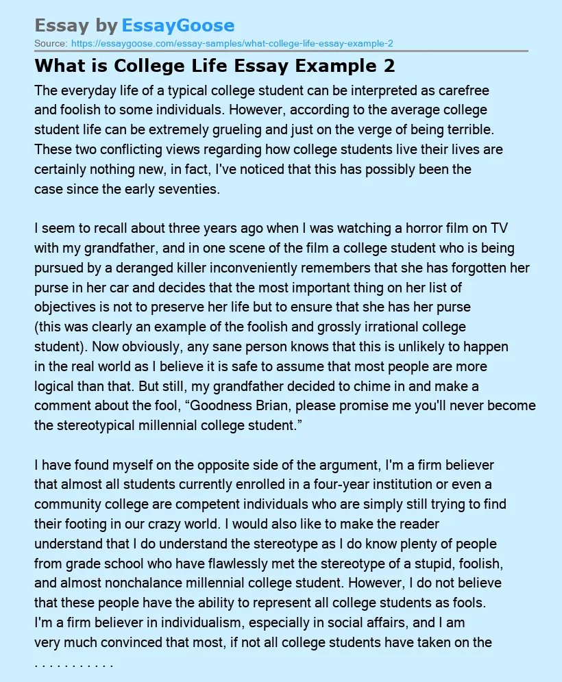What is College Life Essay Example 2