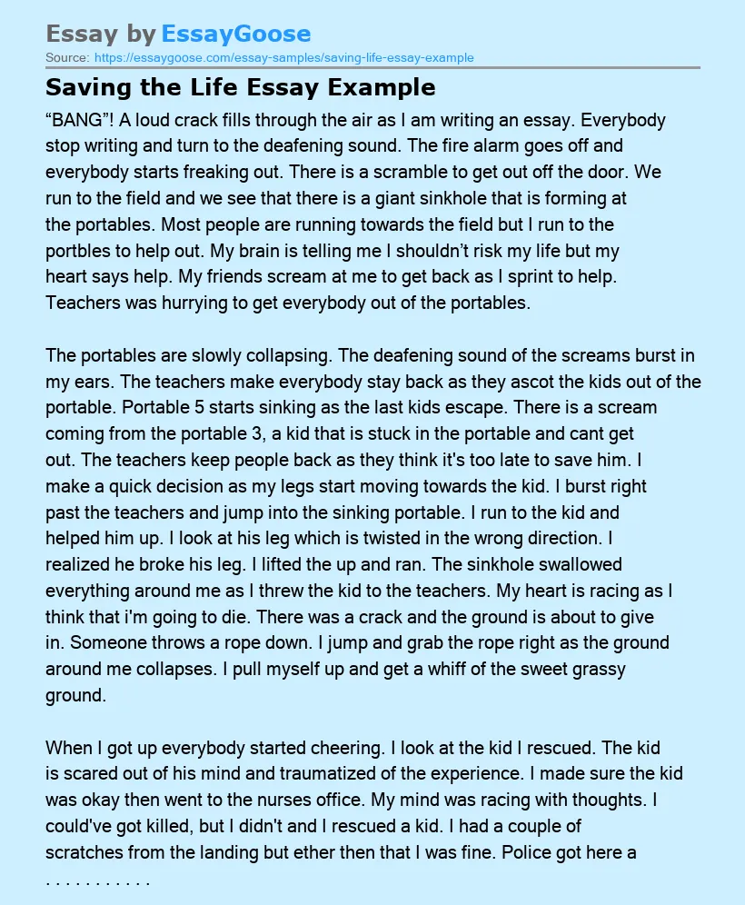 Saving the Life Essay Example