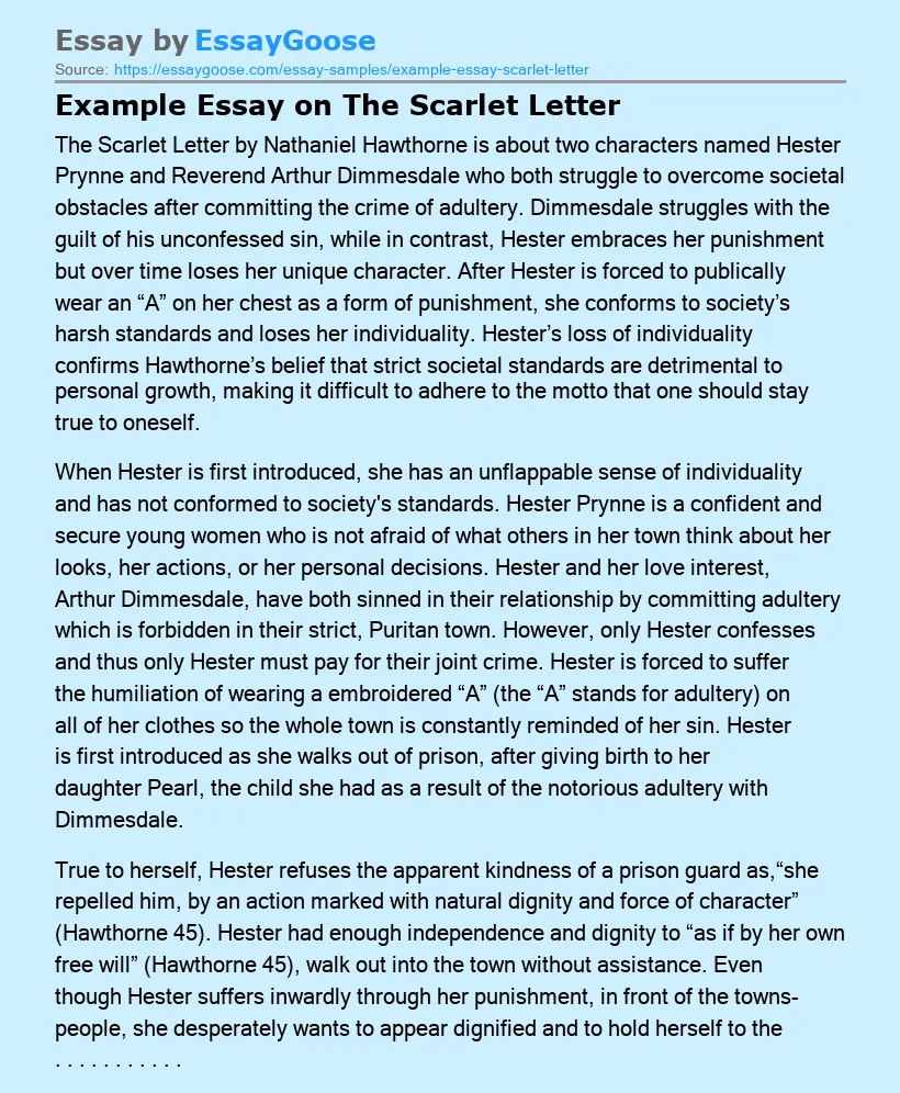 Example Essay on The Scarlet Letter