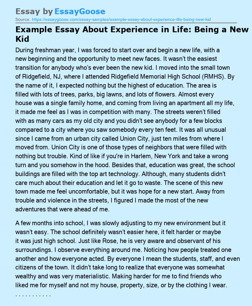 Example Essay About Experience in Life: Being a New Kid
