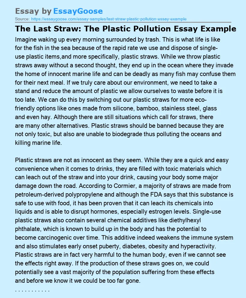 The Last Straw: The Plastic Pollution Essay Example