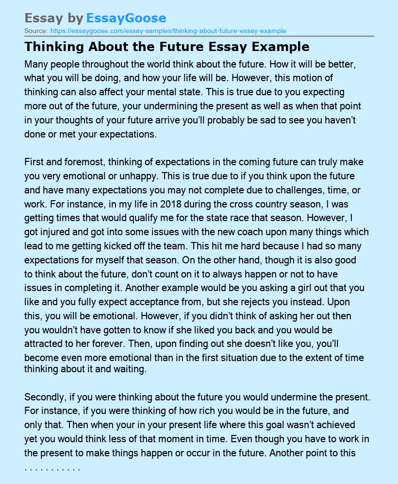 Thinking About the Future Essay Example