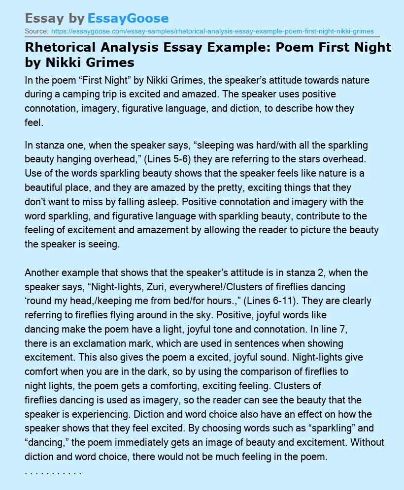 Rhetorical Analysis Essay Example: Poem First Night by Nikki Grimes