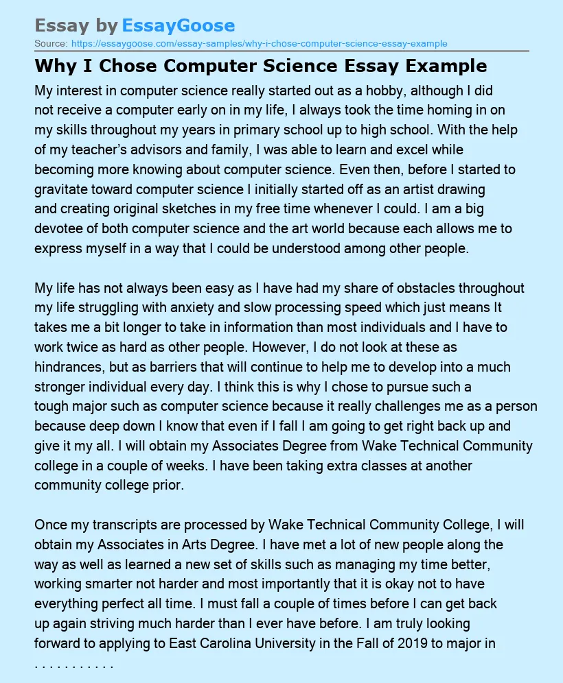 Why I Chose Computer Science Essay Example