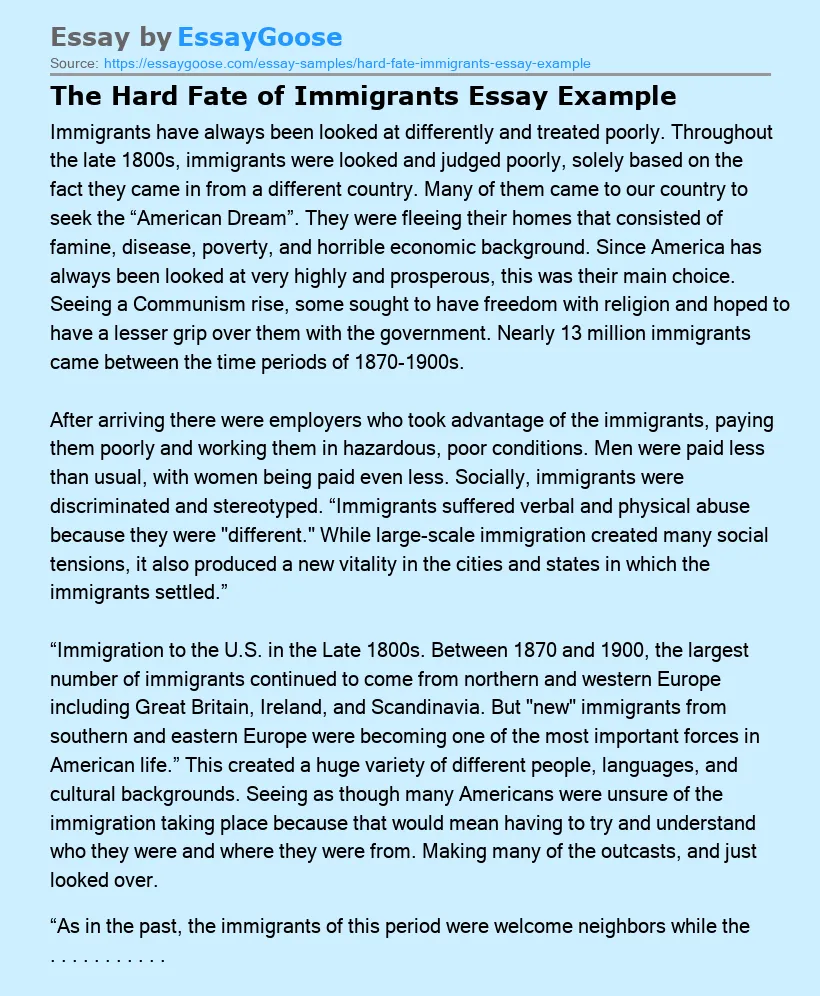 The Hard Fate of Immigrants Essay Example