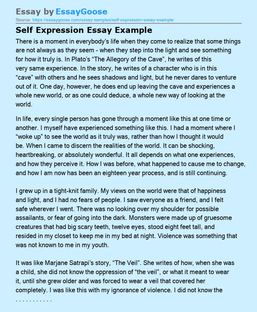 Self Expression Essay Example