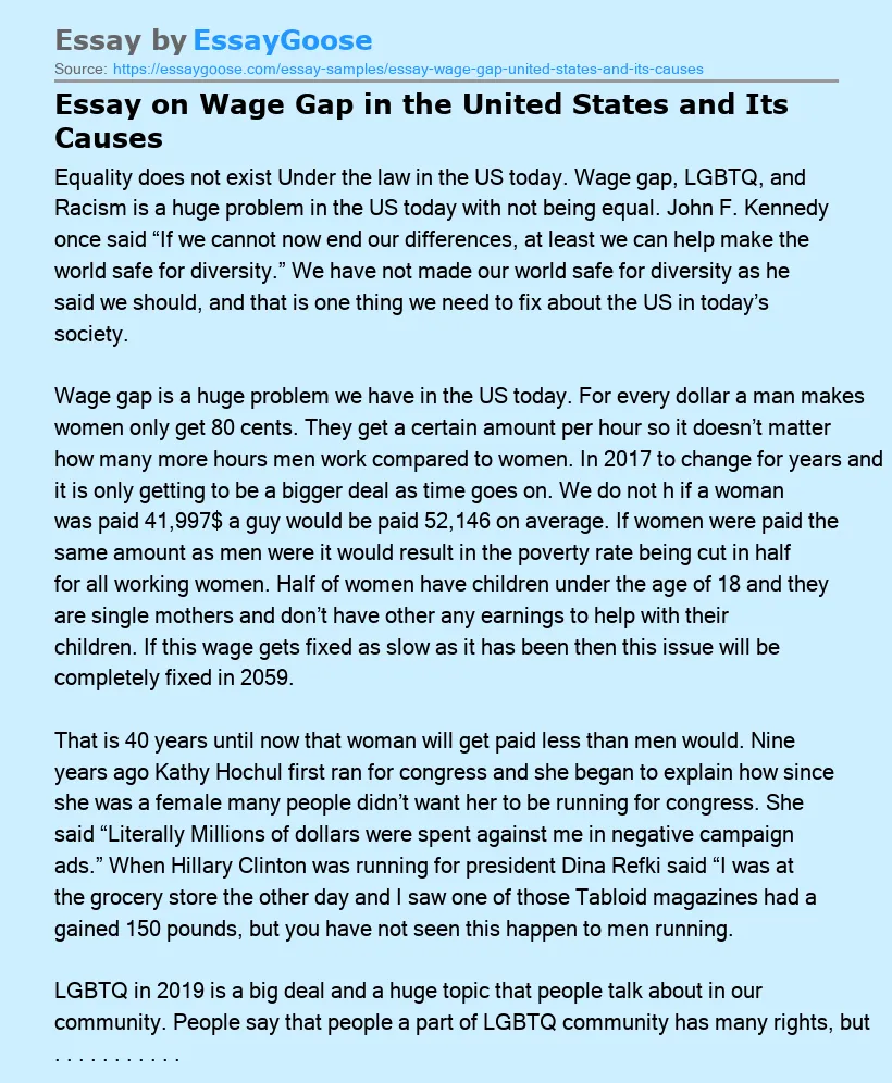 Essay on Wage Gap in the United States and Its Causes