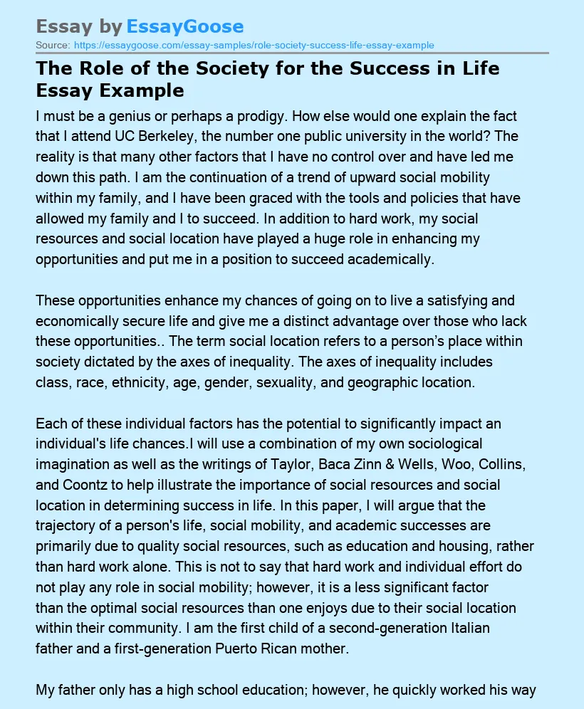 The Role of the Society for the Success in Life Essay Example
