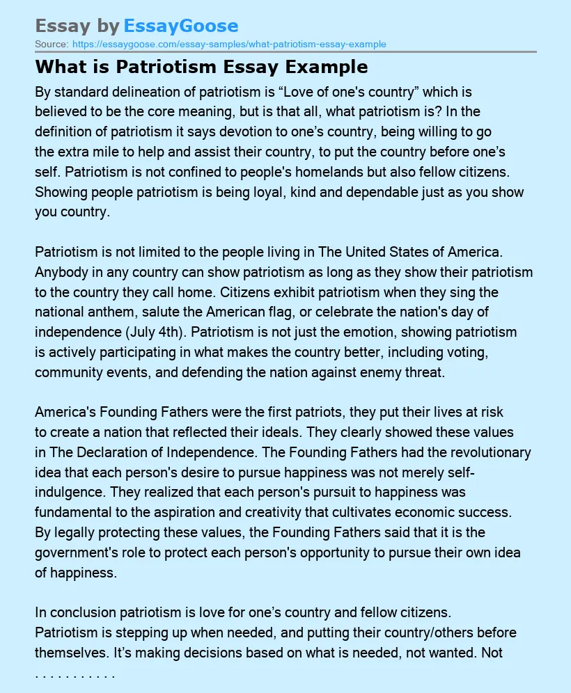 What is Patriotism Essay Example