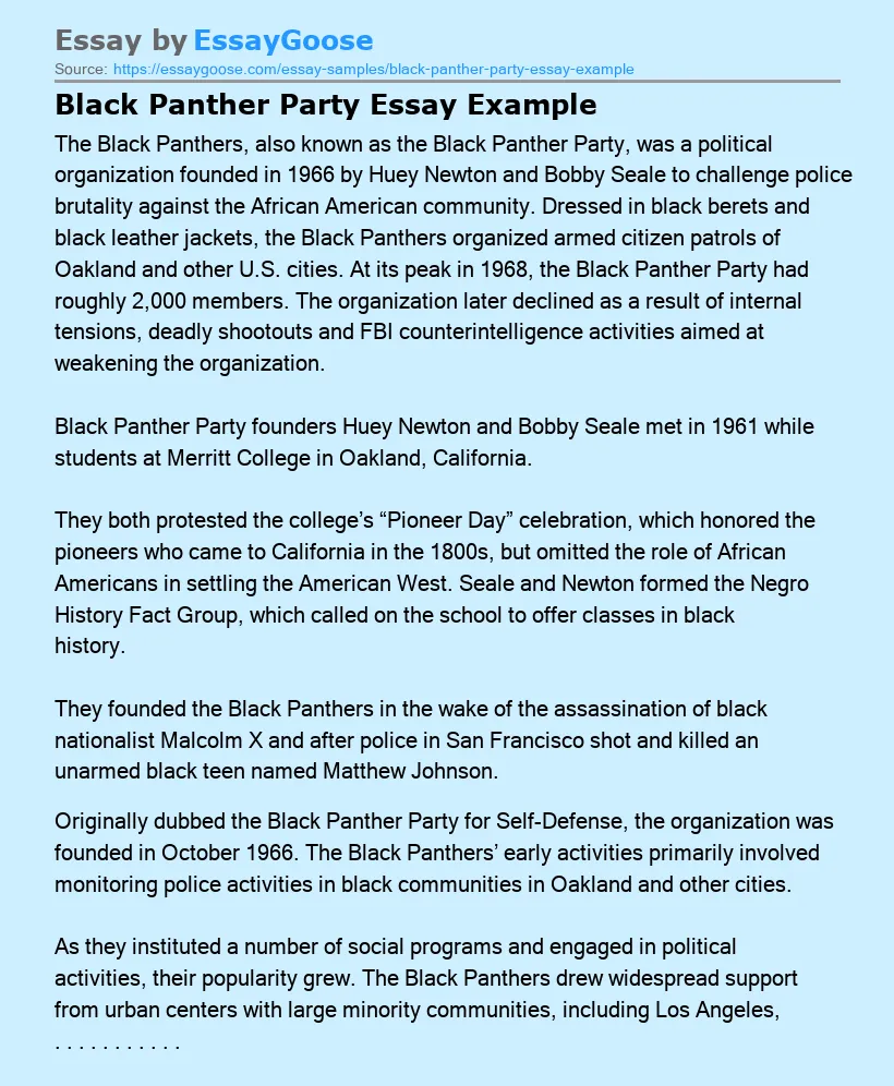 Black Panther Party Essay Example