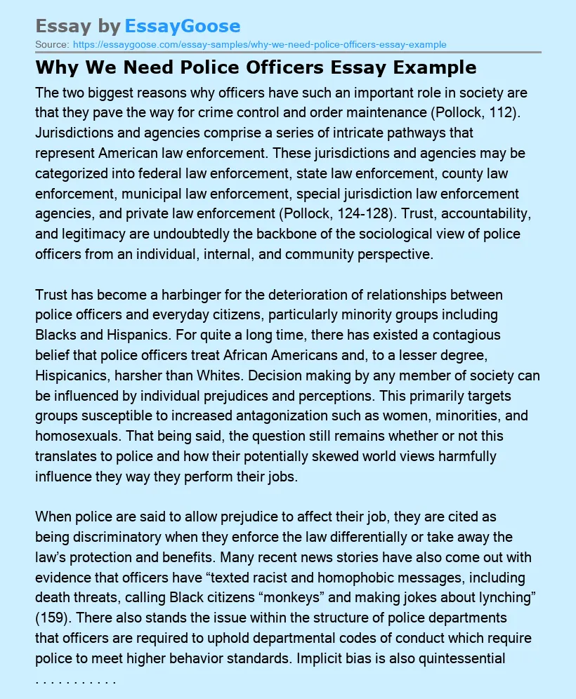 Why We Need Police Officers Essay Example