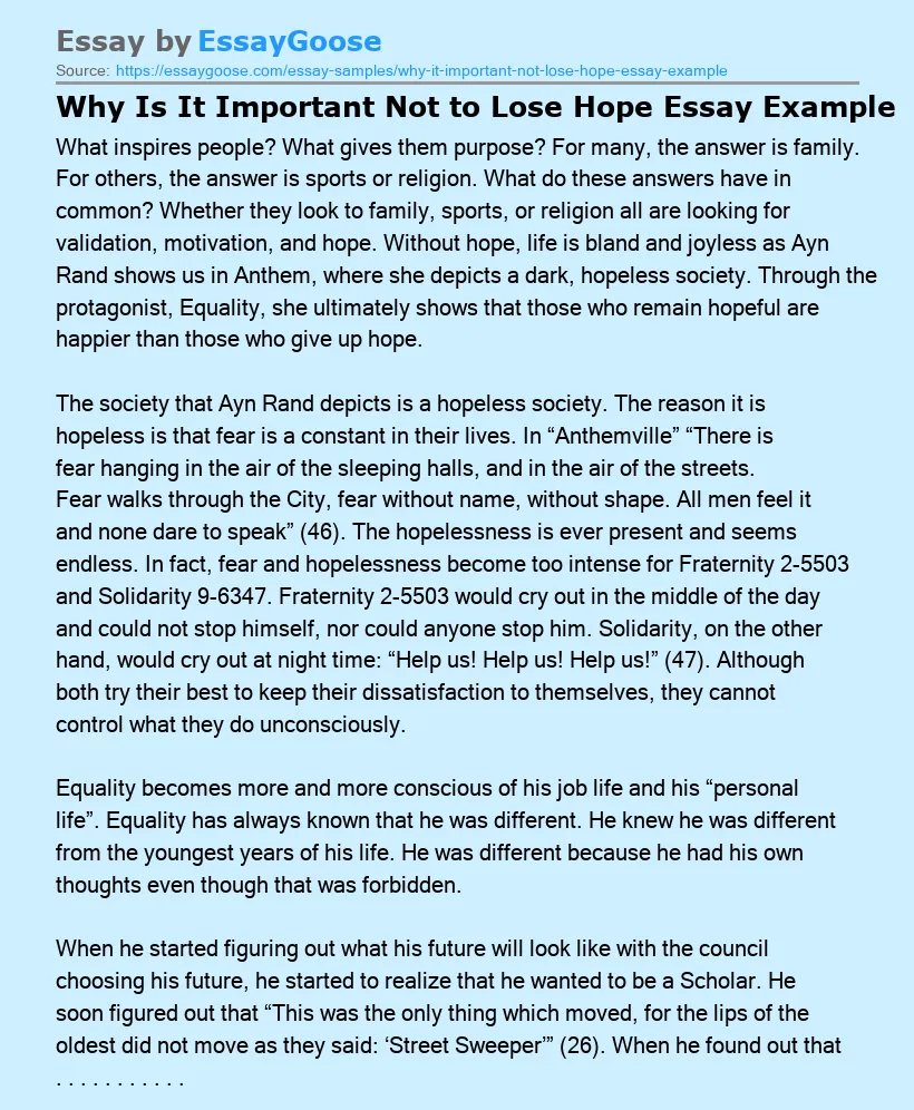 Why Is It Important Not to Lose Hope Essay Example