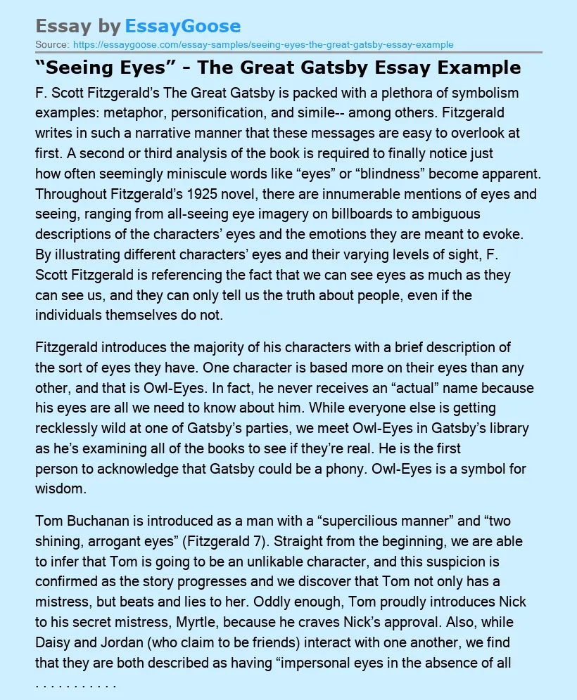 “Seeing Eyes” - The Great Gatsby Essay Example