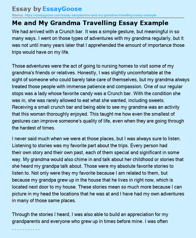 Me and My Grandma Travelling Essay Example