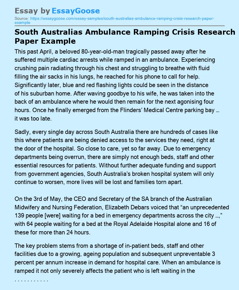 South Australias Ambulance Ramping Crisis Research Paper Example
