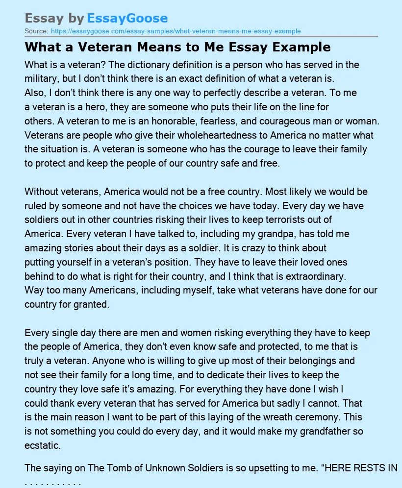 What a Veteran Means to Me Essay Example