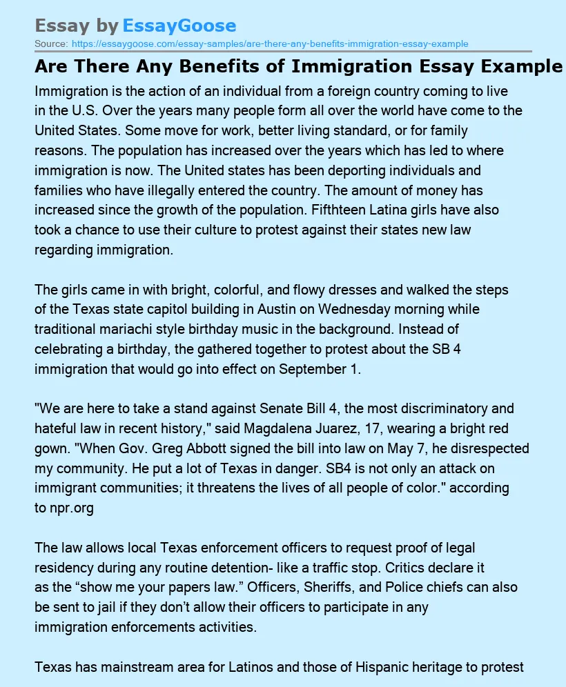 Are There Any Benefits of Immigration Essay Example