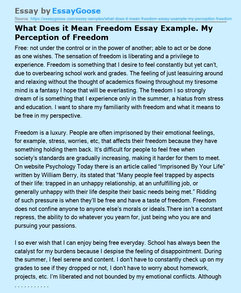 What Does it Mean Freedom Essay Example. My Perception of Freedom